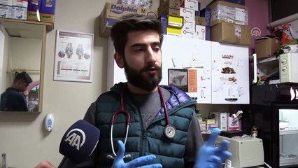 Göz kapakları yakılmış kedi bulundu - KAYSERİ