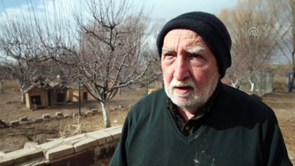 'Can dostlara' sıcak yuva - ANKARA