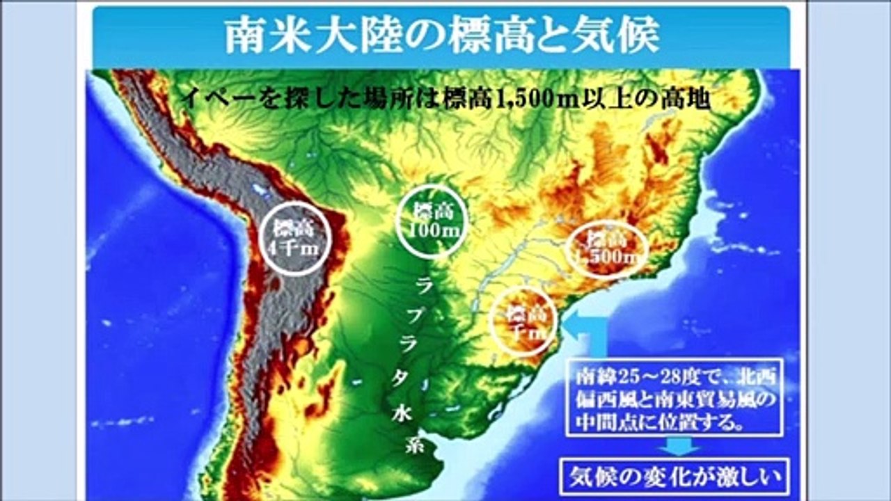 イペーの起源を追って