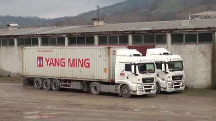 Orta Doğu'daki Fabrikaların "Temeli" Bartın'da Atılıyor