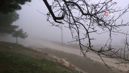 Adıyaman’da yoğun sis hayatını olumsuz etkiledi