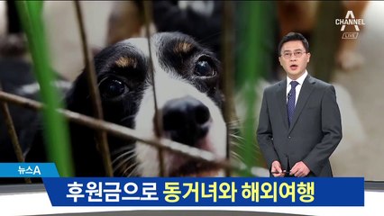 “개농장 폐쇄에 쓴다”는 후원금…해외여행 등 ‘펑펑’