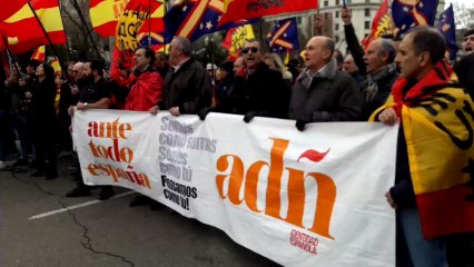 Banderas franquistas en la manifestación de Colón.
