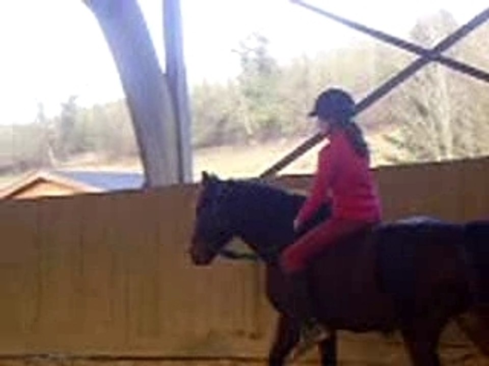 A cheval en licol