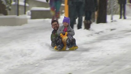 함박눈 내린 美 시애틀...피해 속 '눈세상' 만끽 / YTN