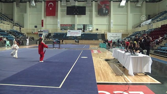 Türkiye Wushu Taolu Taichi Şampiyonası - SAKARYA