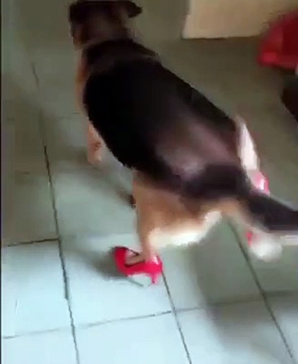 funny red shoe lady