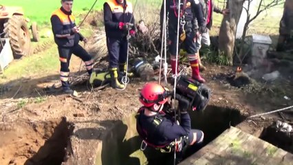 Kuyuya düşen inek operasyonla kurtarıldı - İZMİR