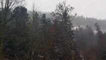 Tempête Isaias :  les sapins résistent dans le défilé de Straiture à Ban-sur-Meurthe-Clefcy dans les Vosges