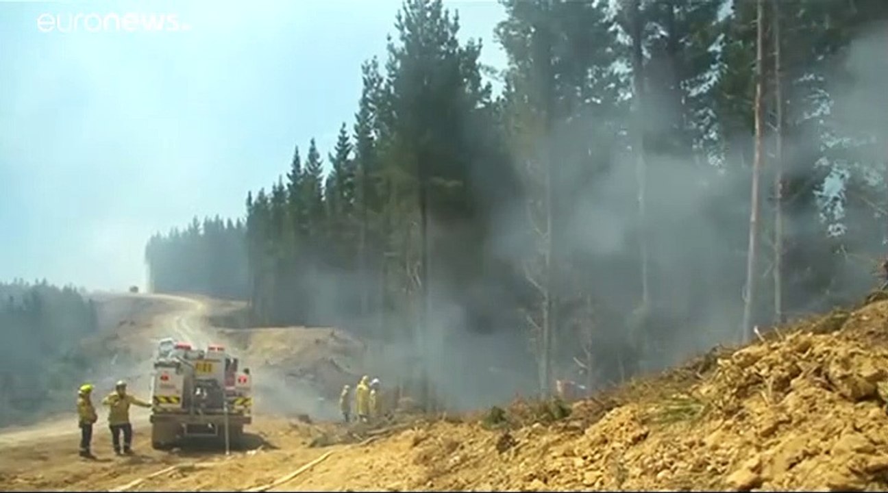 Neuseeland: 3000 Menschen fliehen vor Waldbrand