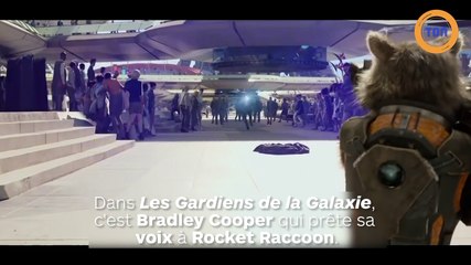 Oreo le raton laveur qui a inspiré Rocket des Gardiens de la Galaxie est mort