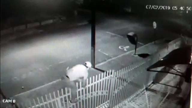 Câmeras flagram ladrões invadindo igreja para furtar aparelho de som