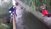 2 cyclistes sauvent un sanglier sur le point de se noyer dans un canal