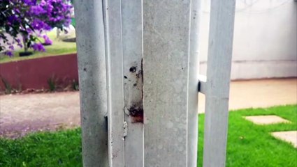 Ladrões arrombam casa e furtam vários objetos no Maria Luiza