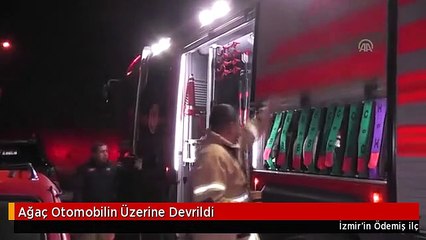Ağaç Otomobilin Üzerine Devrildi