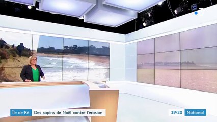 Île de Ré : des sapins de Noël contre l'érosion