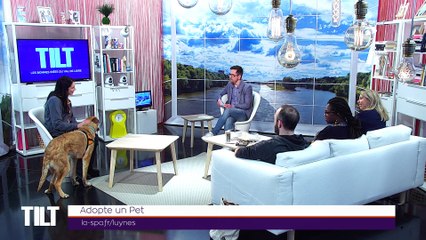 TILT - 11/02/2019 Partie 2 - Bien cultiver son potager grâce à Agrikaïdo