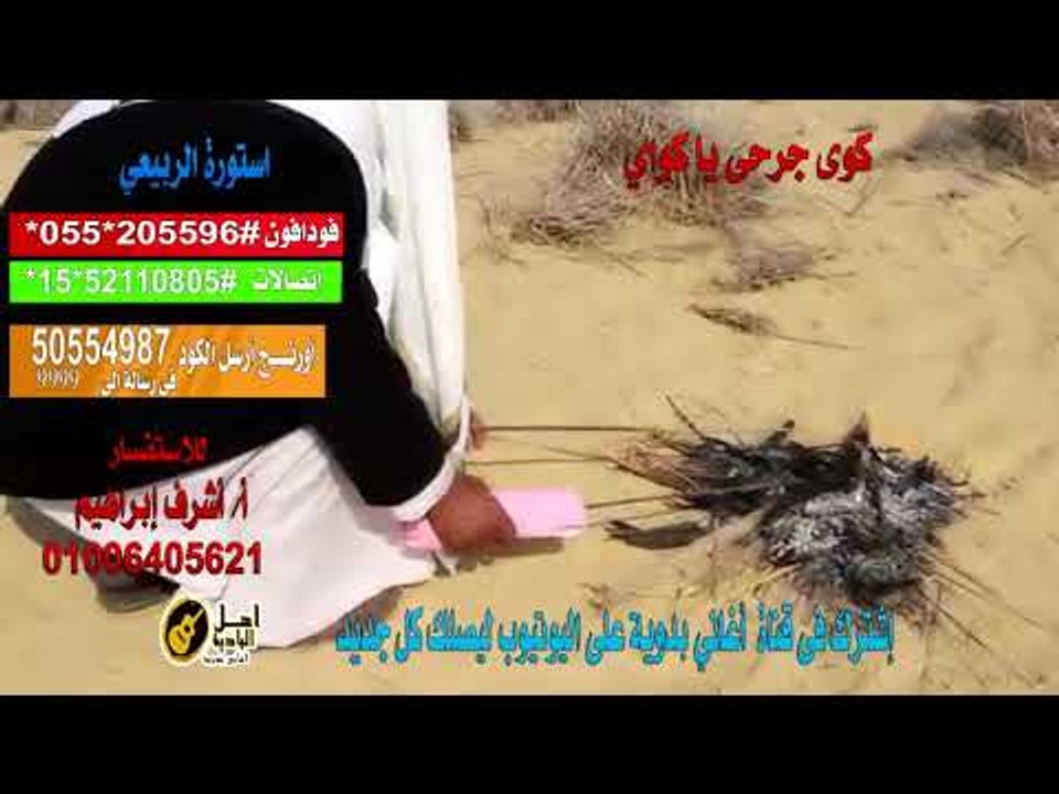 كول تون استوره الربيعي   يا كواي