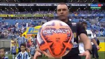Grêmio 6 x 0 Avenida Gols e Melhores Momentos   Campeonato Gaúcho 2019 !!!