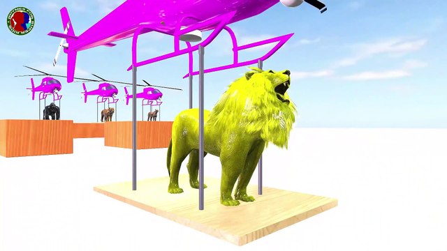 Animals Names & Sounds And Colors For Childrens ## || lion bear gorilla tiger cheetah learning video