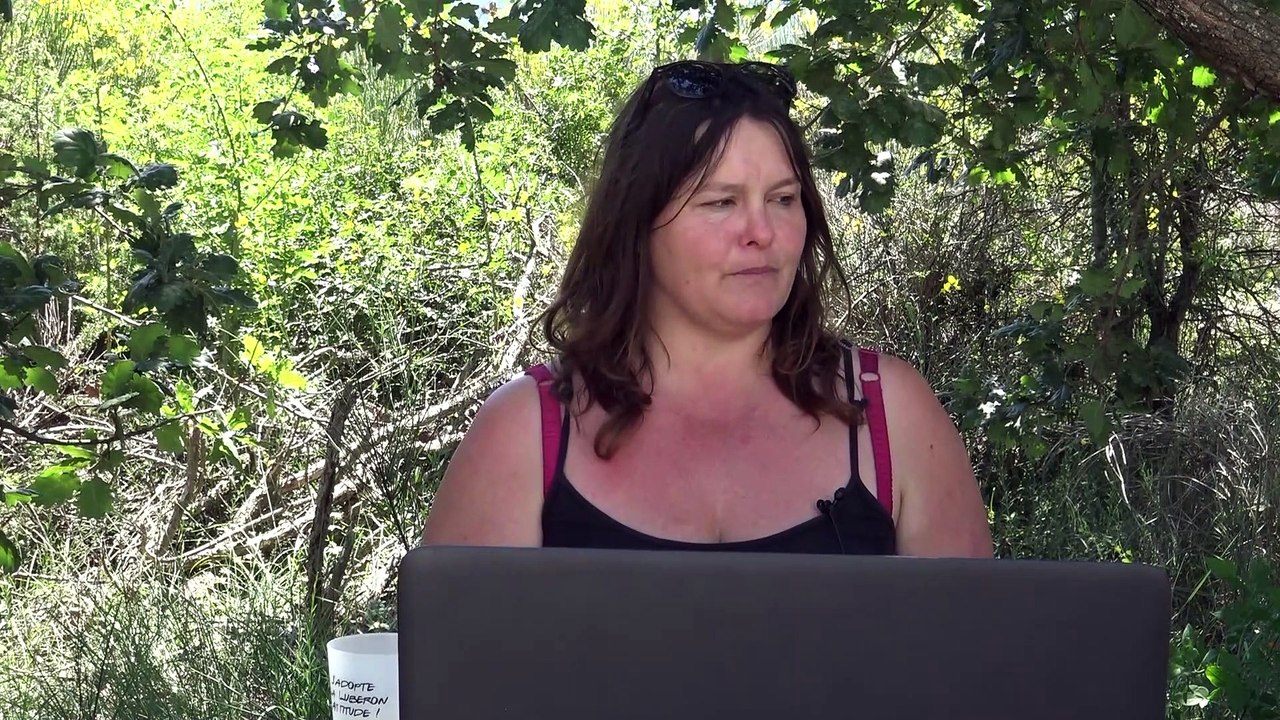 MARION - Brique 2 - PAYSAN CHERCHEUR