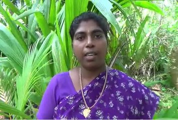 தேங்காய் விவசாயத்தில் களம் இறங்கி கலக்கும் பெண்-வீடியோ