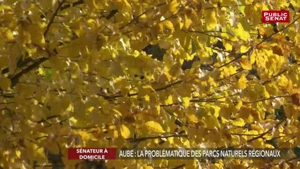 L'action d'un sénateur sur un dossier local. - Sénateur à domicile (19/11/2018)