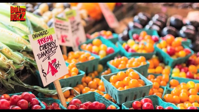 10 Bollywood Celebs Who Turned Vegan/Vegetarian To Lead A Healthier Lifestyle