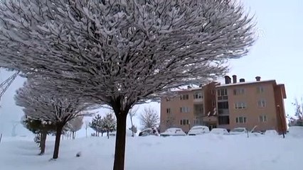 Tải video: Ahlat beyaza büründü - BİTLİS