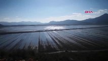 Burdur Kestel Ovası'nda 30 Bin Dekar Tarım Arazisi Su Altında Kaldı