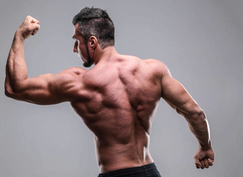 Die besten Trizepsübungen