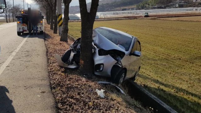중앙선 넘어 가로수 추돌...노인 2명 숨져 / YTN