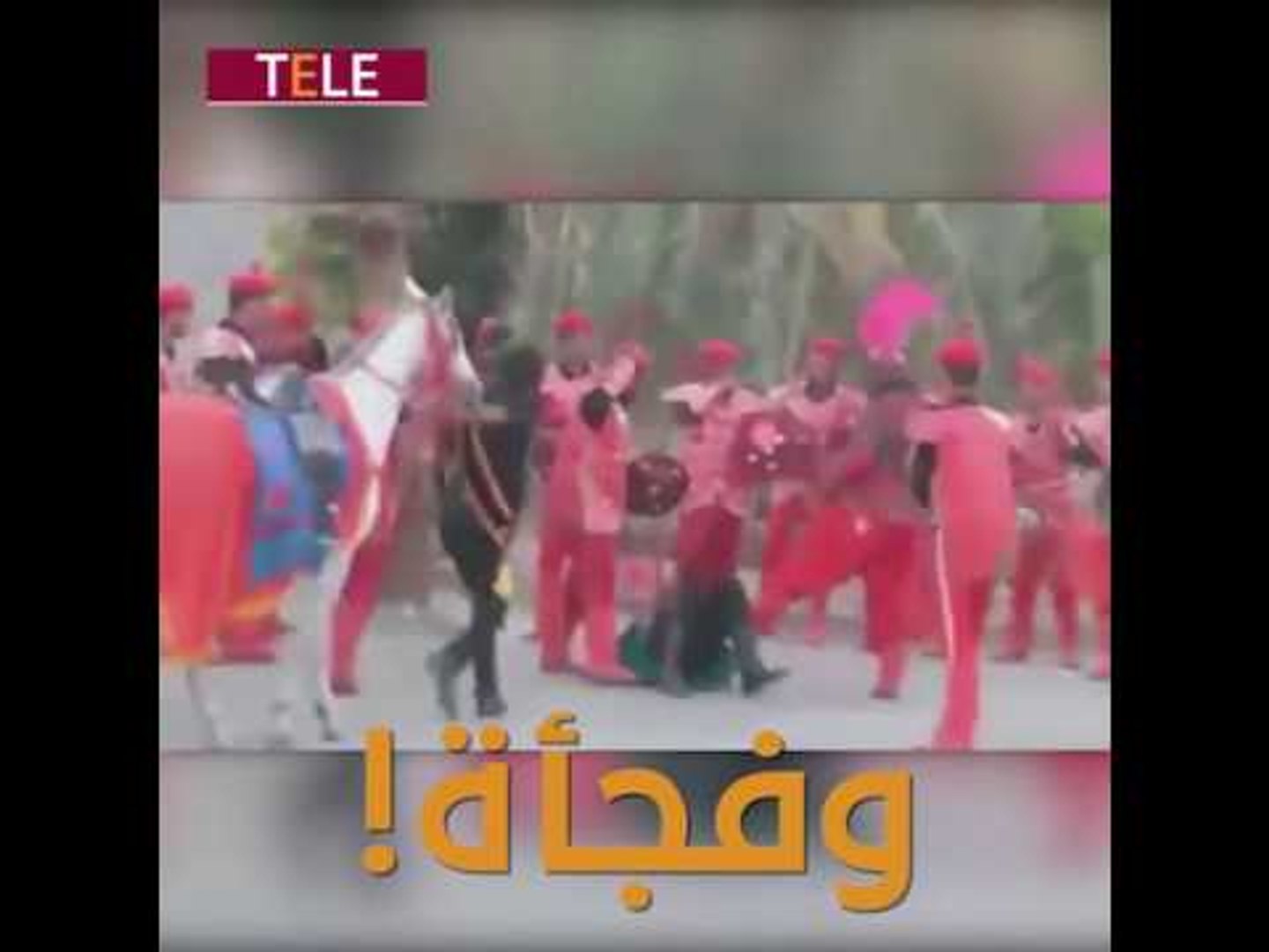 ⁣معركة حقيقية بين