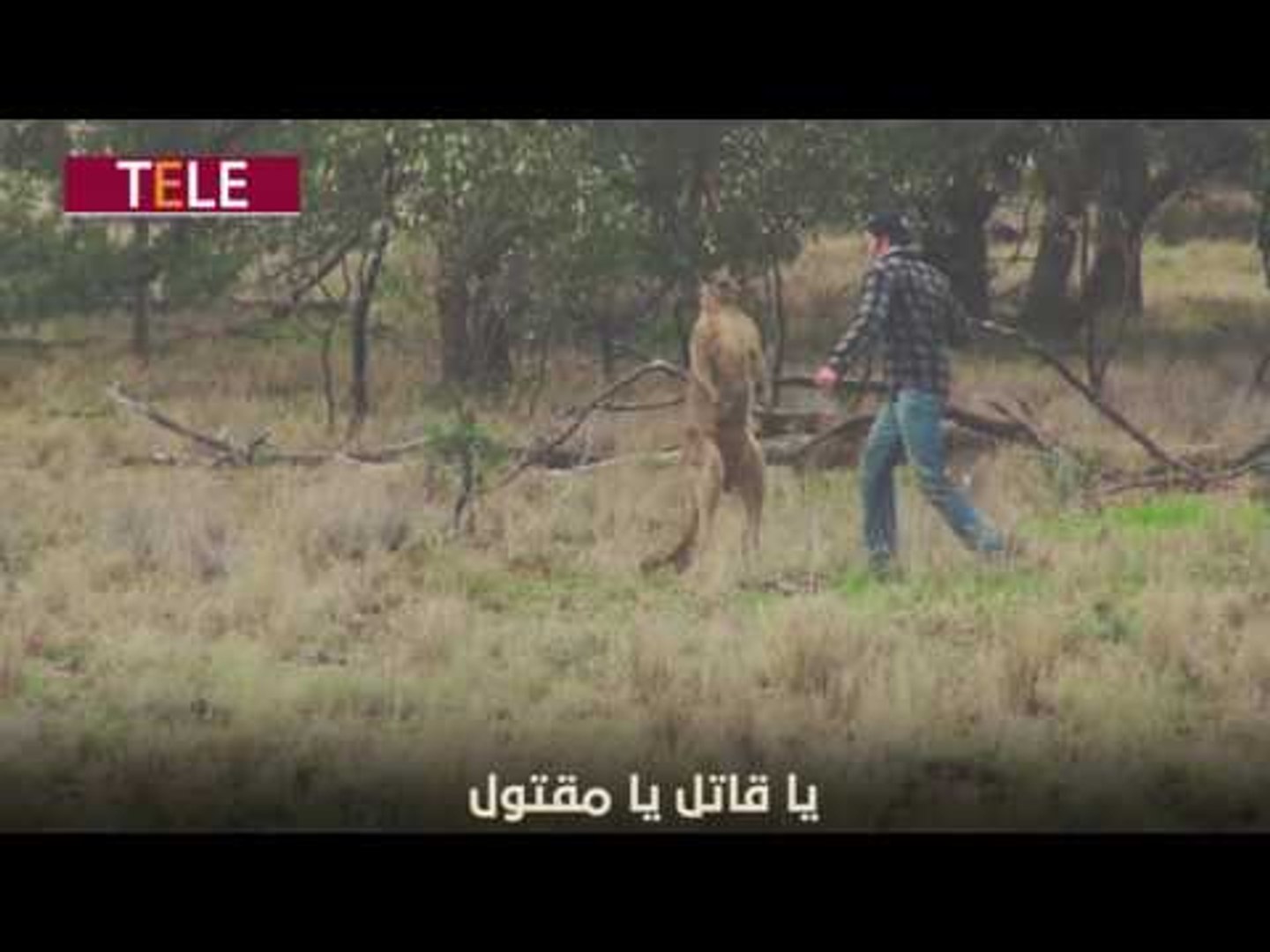 ⁣فيديو الكنغر الشهير.. الأدعشري وأبو شهاب وأيو النار هكذا علق عليه سوريون وهكذا جسدنا المشهد لكم!