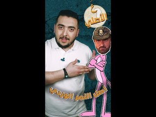 عَ الأصلي النمر الوردي و مجلس الأمن عشق وحب وتبادل خبرات!