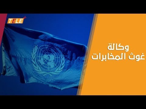 تحقيق: وكالة غوث وتشغيل اللاجئين الفلسطينيين الأونروا تقدم قروضاً مالية لعناصر ميليشيا أسد!