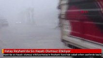 Hatay Reyhanlı'da Sis Hayatı Olumsuz Etkiliyor