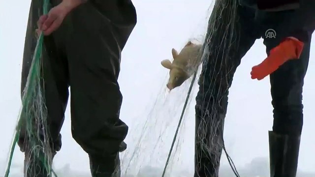 Bitlis'te donan gölde balık avı