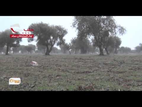 Gundewarê Şamê Artêşa Azad avahiyên rêjîmê kontrol dike