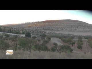 Pêşveçûnên meydanî li sûriyê