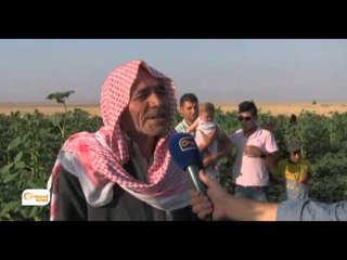 Girkê legê çandiniya baxçeyên şînkeyî