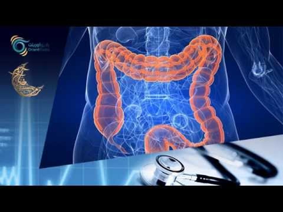 القولون | أورينت كلينيك
