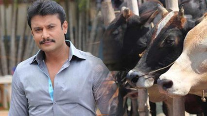 ದರ್ಶನ್ ರ ಈ ಕೆಲಸ ನಿಜಕ್ಕೂ ಶ್ಲಾಘನೀಯ  | FILMIBEAT KANNADA