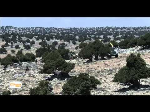 حزب الله اللبناني يخطط لتنفيذ هجمات في أوروبا.