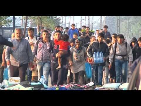 Bi tenê 20% ji hejmara penbaerên li Ewropayê Sûrî ne