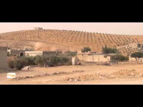 Rewşa çandina havînê li bajarê Kobanî