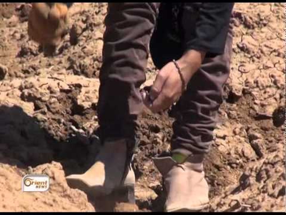 يلا نحنا 31 يلا نعمل مجمع بيئي صغير !!