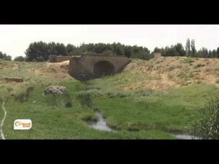 Dîmenên gundê Çetelê yê gundewarê Dirbêsiyê