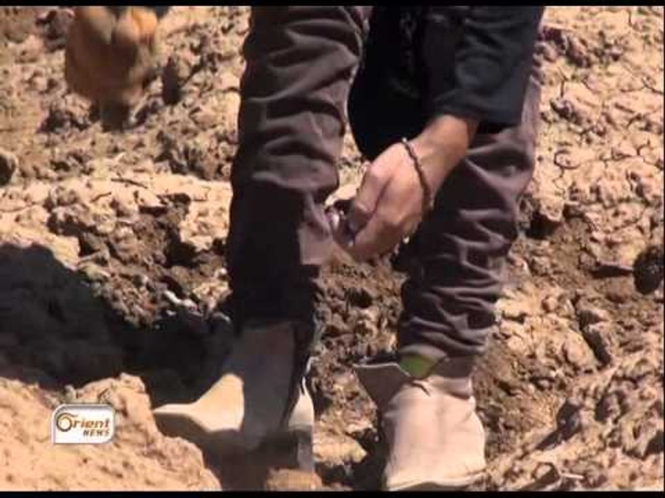 يلا نحنا 31 يلا نعمل مجمع بيئي صغير !!