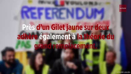 Download Video: 40% des Gilets jaunes sont très complotistes